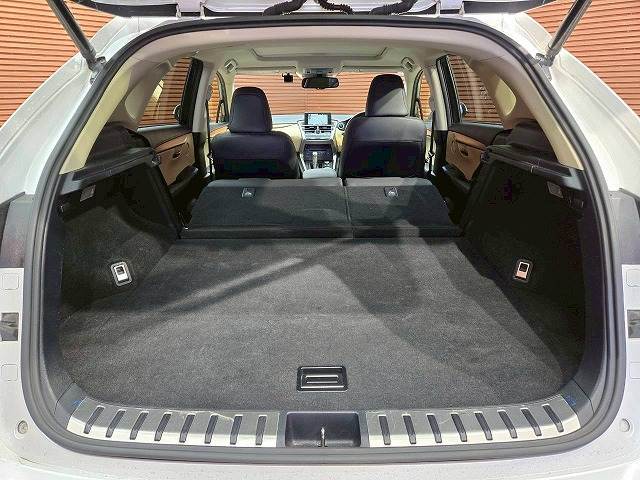 レクサス&nbsp;NXの画像20