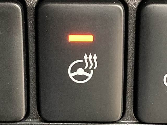 三菱&nbsp;デリカD5の画像10