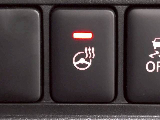 三菱&nbsp;デリカD5の画像6