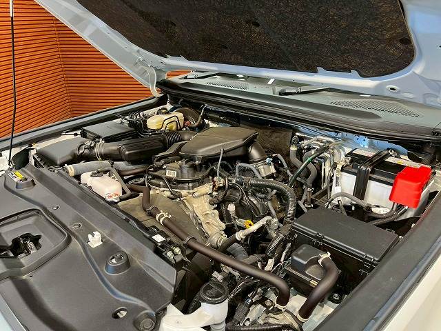 トヨタ&nbsp;ランドクルーザー250の画像14