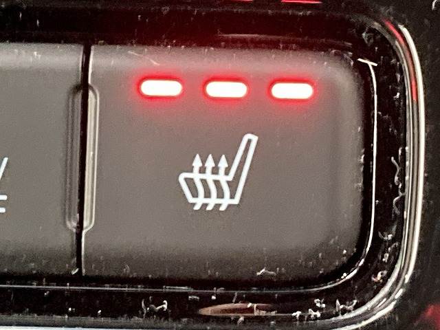 ホンダ ステップワゴンの画像9