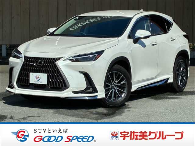 レクサスNXＮＸ２５０　モデリスタエアロ／純正１４型ナビ／全周囲カメラ／黒革シート／シートヒーター／ベンチレーション／ブラインドスポットモニター／パワーウインドウ／レーダークルーズコントロール／ヘッドアップディスプレイ 外観