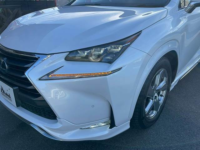 レクサス&nbsp;NXの画像20