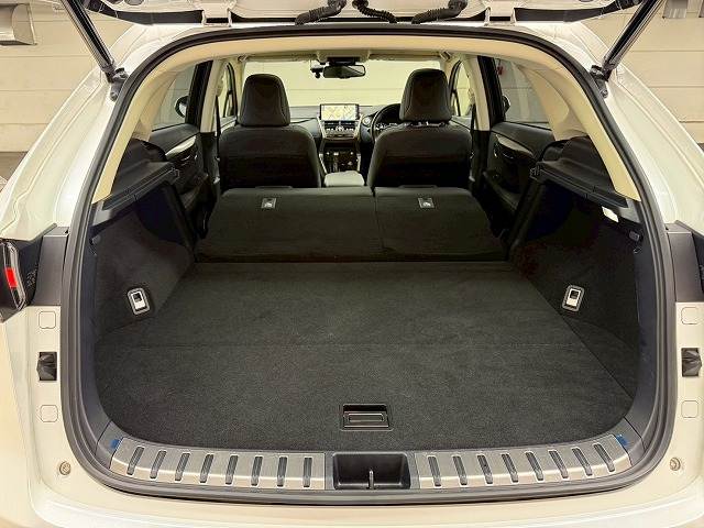 レクサス NXの画像20