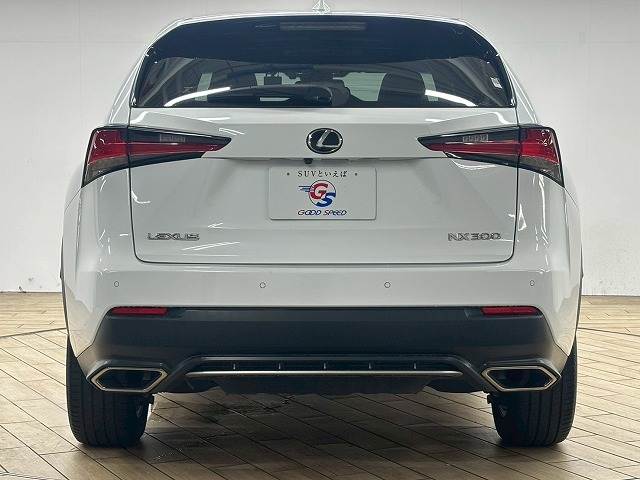 レクサス NXの画像19