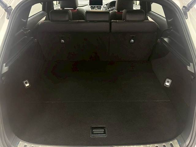 レクサス NXの画像20