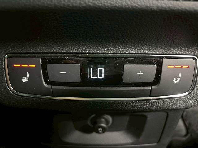 アウディ Q5の画像13