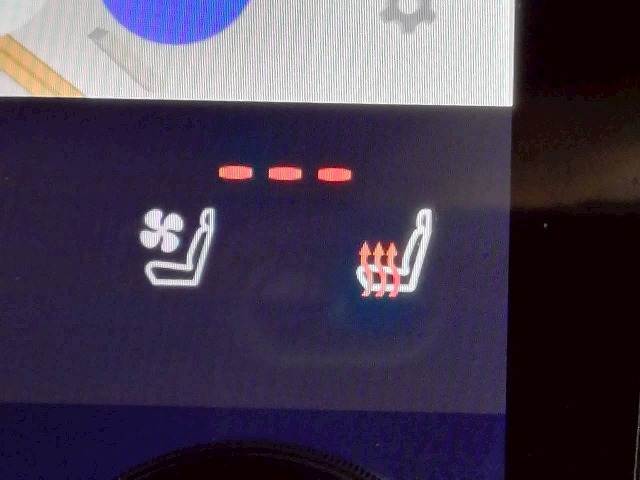 アルファードZ 内装他