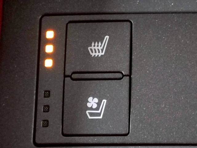 レクサス RCの画像6