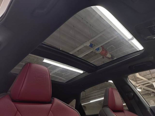 RXRX500h “F SPORT Performance” 内装他