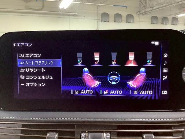 LSLS500 “I package” 内装他