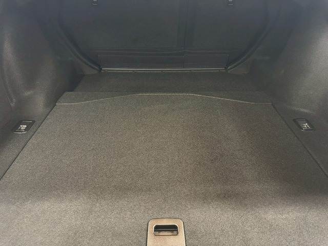 レクサス RCの画像20