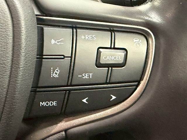 UXUX250h“Graceful Explorer” 内装他