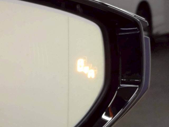 LSLS500 “version L” 内装他