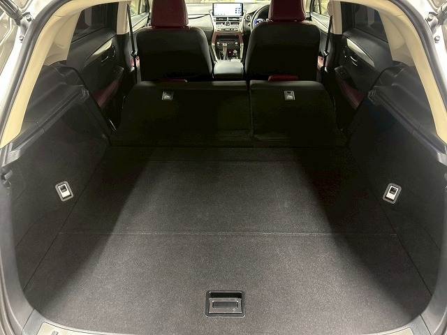 レクサス NXの画像20