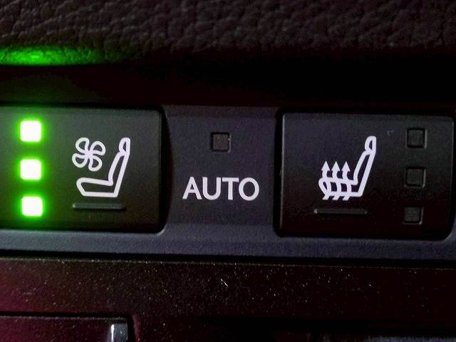 ESES300h “F SPORT” 内装他