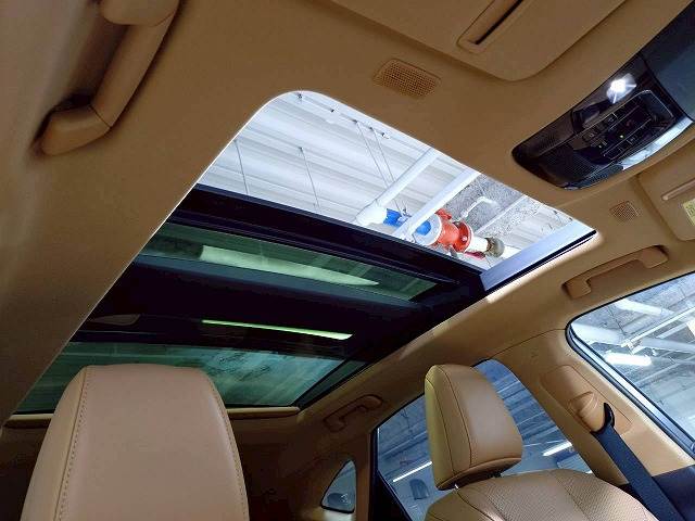 NXNX250 “version L” 内装他