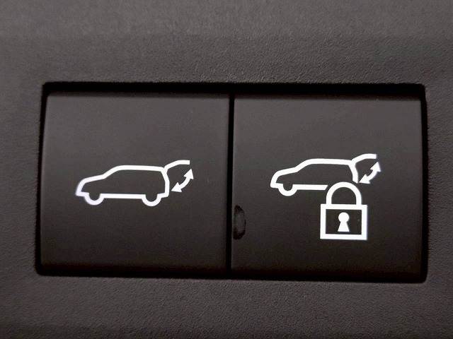 NXNX250 “version L” 内装他