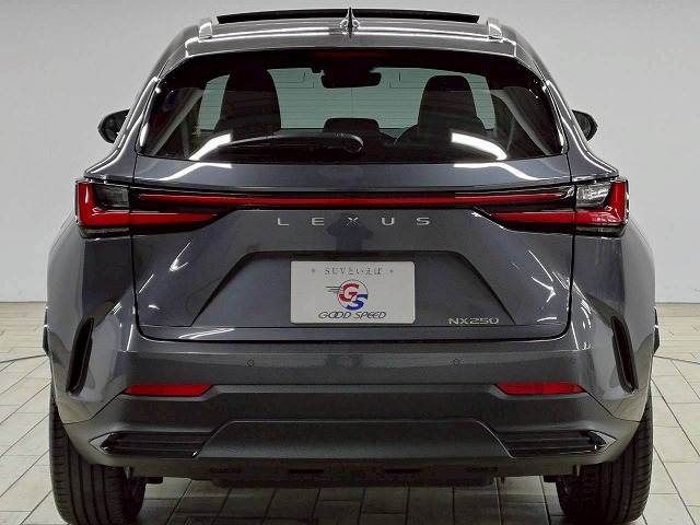 レクサス NXの画像19