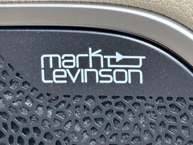 ESES300h “version L” 内装他