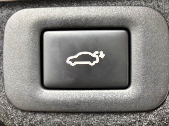 ESES300h “version L” 内装他