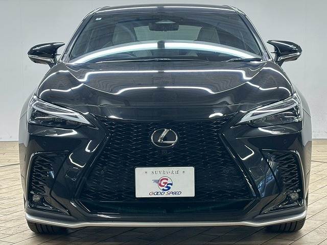 レクサス&nbsp;NXの画像17