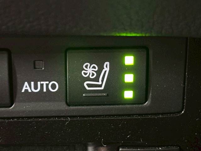 レクサス&nbsp;ESの画像6