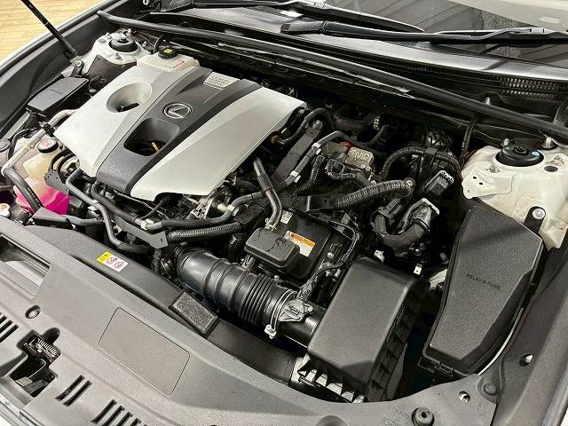 レクサス&nbsp;ESの画像15