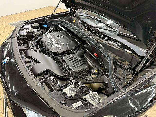 BMW X2の画像15