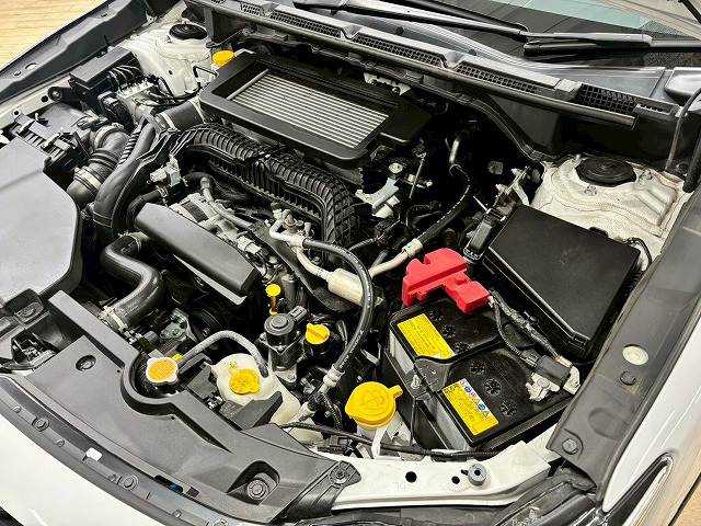 スバル&nbsp;レヴォーグ レイバックの画像15