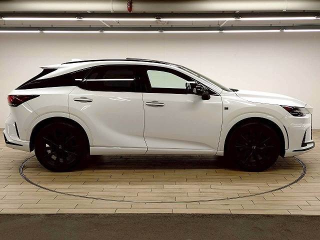 レクサス&nbsp;RXの画像18