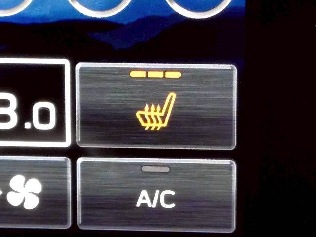 スバル&nbsp;レヴォーグ レイバックの画像8