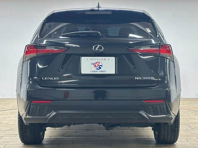 レクサス&nbsp;NXの画像19