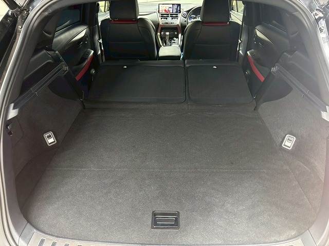 レクサス&nbsp;NXの画像20