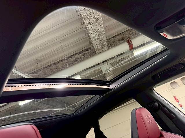 RXRX500h “F SPORT Performance” 内装他