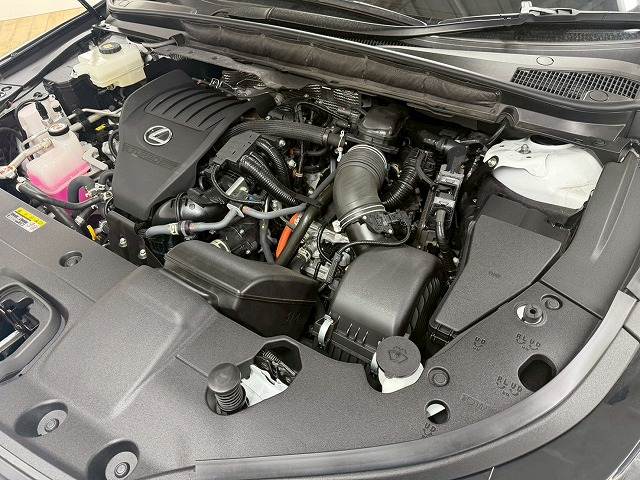 レクサス&nbsp;RXの画像15