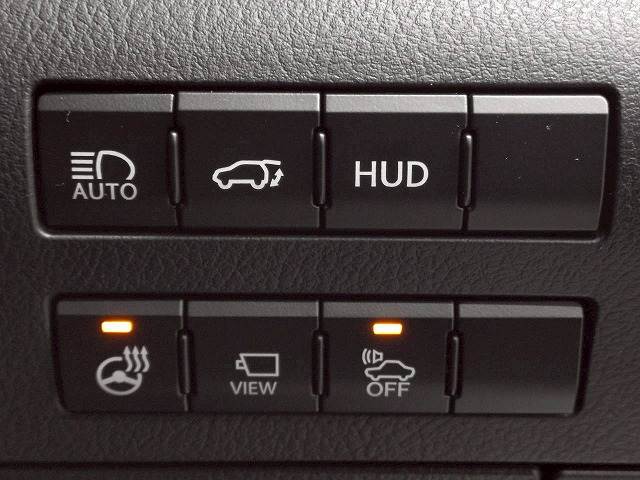 RX□RX450h “F SPORT” 内装他