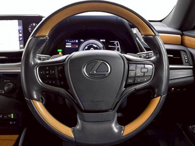 レクサス&nbsp;ESの画像14