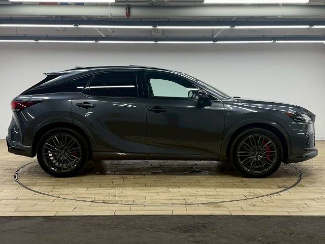 レクサス&nbsp;RXの画像18