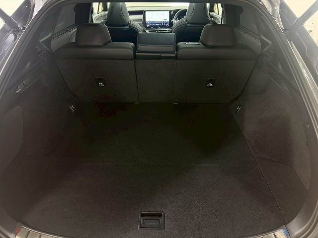 レクサス&nbsp;RXの画像20