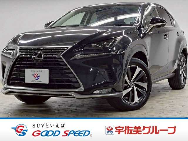 レクサスNXNX300 スパイス&シック