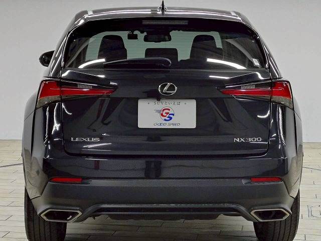 レクサス&nbsp;NXの画像19