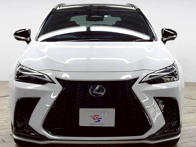 レクサス&nbsp;NXの画像17