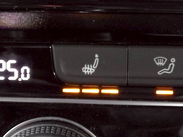 フォルクスワーゲン&nbsp;Arteonの画像8