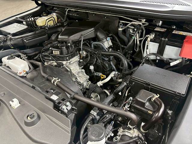 トヨタ&nbsp;ランドクルーザー250の画像15