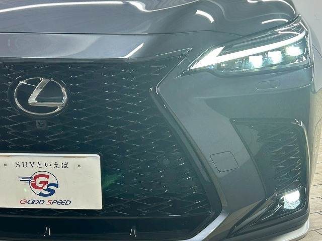 レクサス&nbsp;NXの画像11