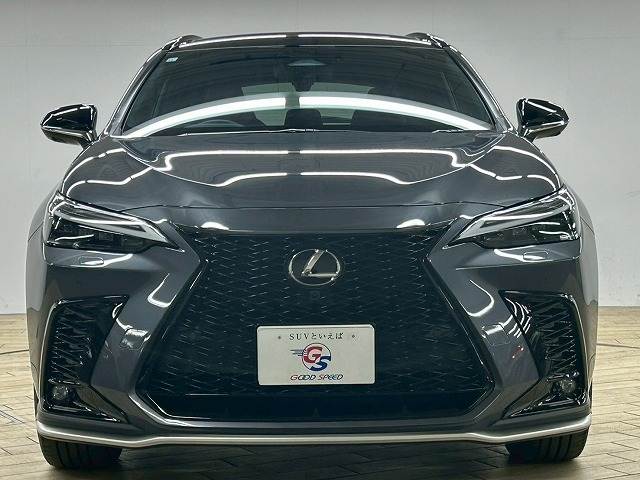 レクサス&nbsp;NXの画像17