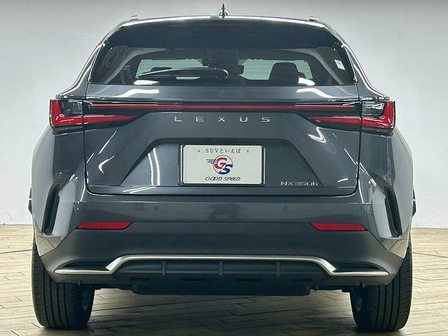 レクサス&nbsp;NXの画像19