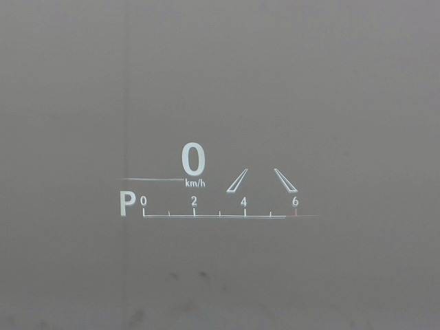 NXNX300h “version L” 内装他