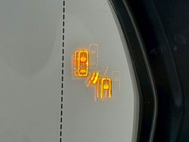 NXNX300h “version L” 内装他